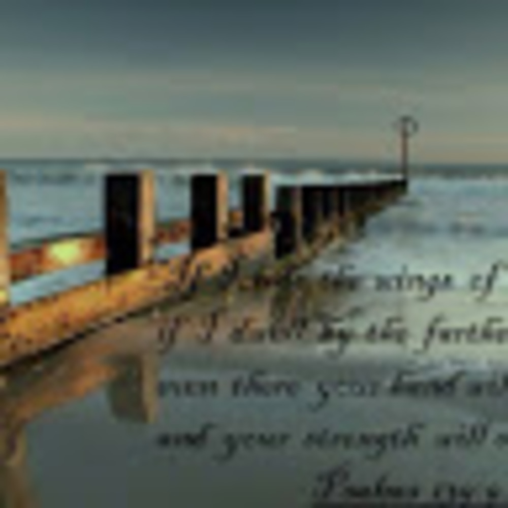 Meet your Posher, Ess